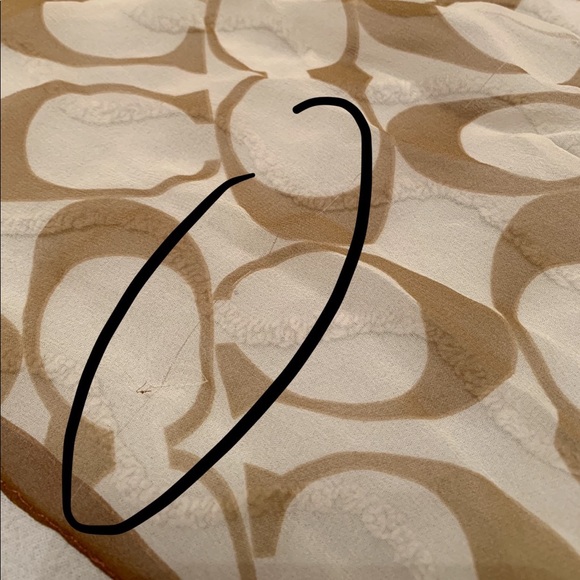 Coach Chiffon Scarf - Picture 5 of 5